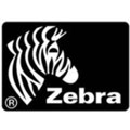 斑马/ZEBRA